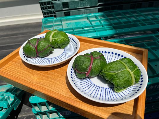 土曜日の野菜販売大盛況でした✨ありがとうございます！　～大阪　寝屋川　お米屋さん～